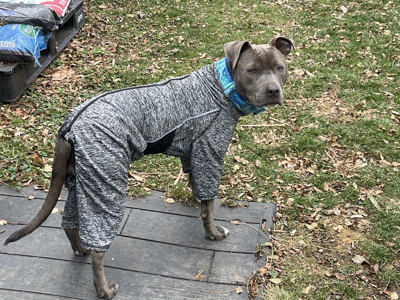 KURGO Stowe Base Layer Dog Sweater, Heather Black, XSmall