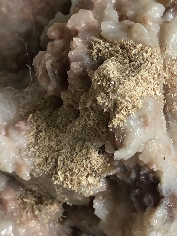 before powder was mixed with food