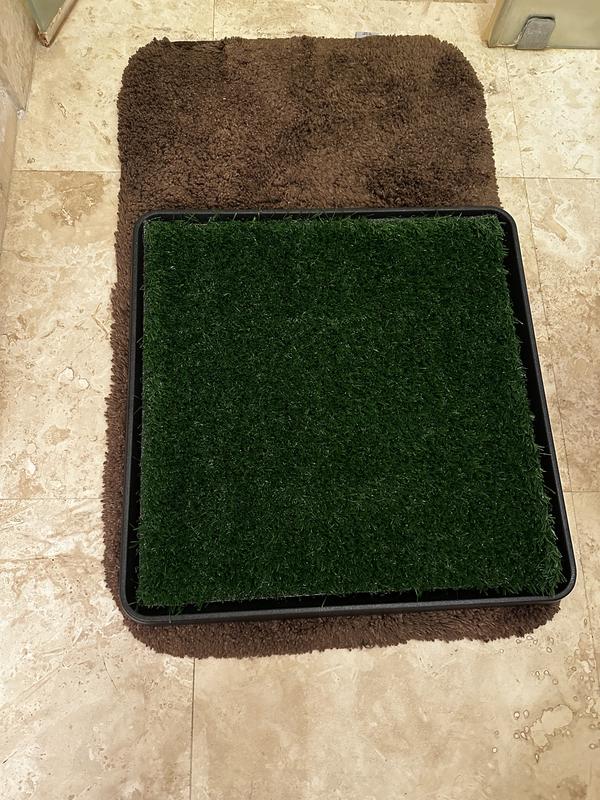 Indoor grass pee pad onto of bathroom rug