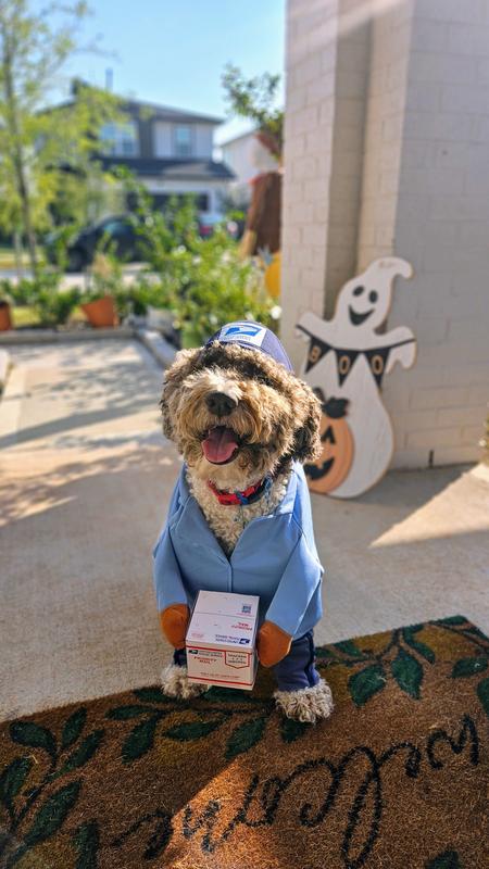Reggie is the cutest delivery doggie in town!