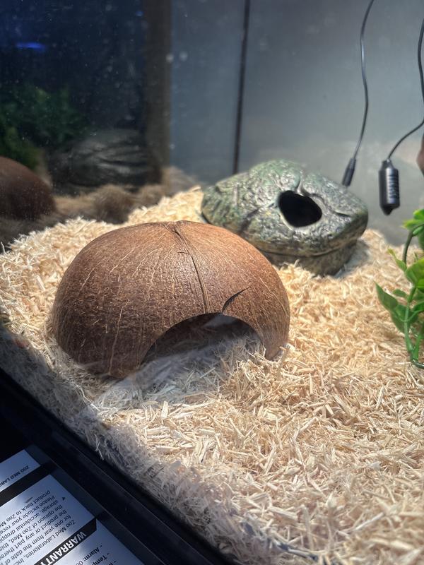 Arrived cracked, but still usable?