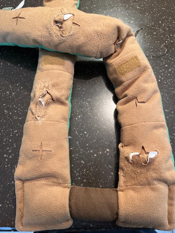 My 11 pound did this the first time she played with it!!