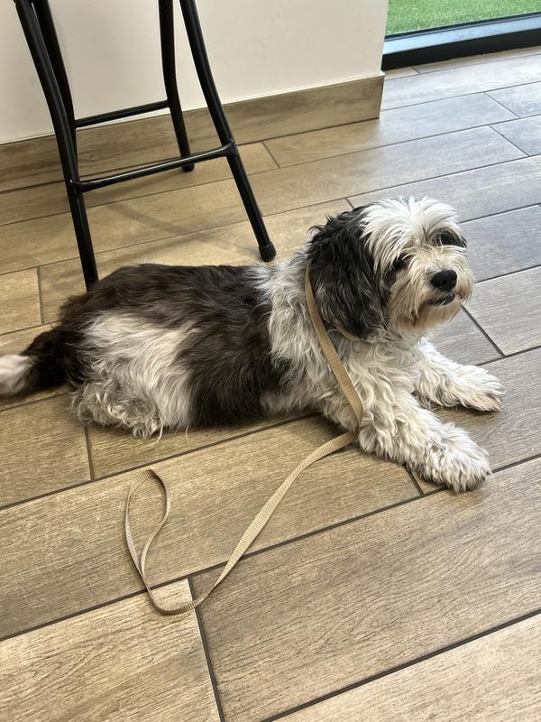 Life saving prices and time availability! That is why this diva is still with us.