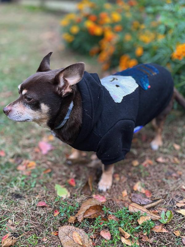 Blue Bear Hood Down 2