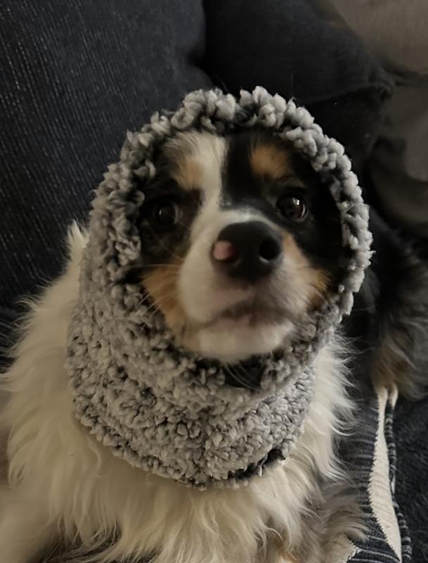 Out of Stock - FRISCO Two-Tone Cozy Sherpa Dog Snood, Medium/Large