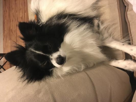 My little boy!