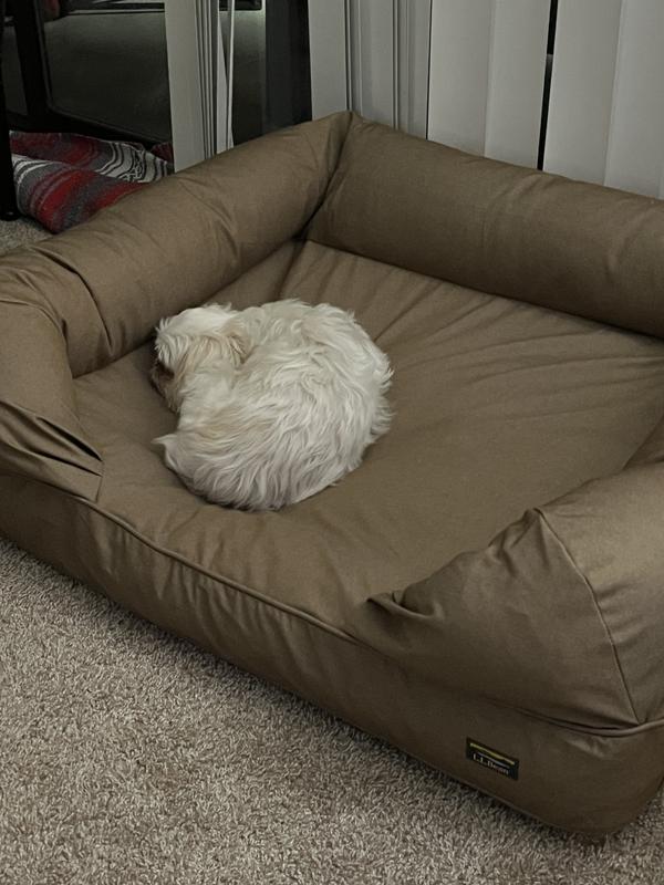 Ll bean dog couch best sale