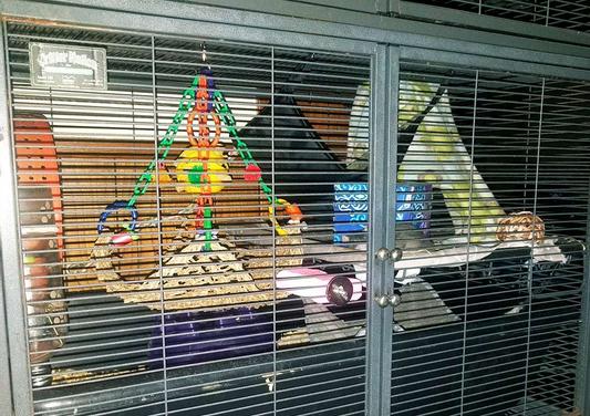 Double Critter Nation with Flying Trapeze Bird Toy Hanging Inside