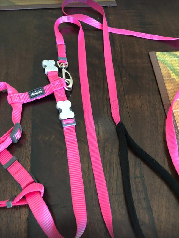 The harness pictured is a Small (5/8" wide), and the "Small" lead is actually an X-Small (only 1/2" wide)