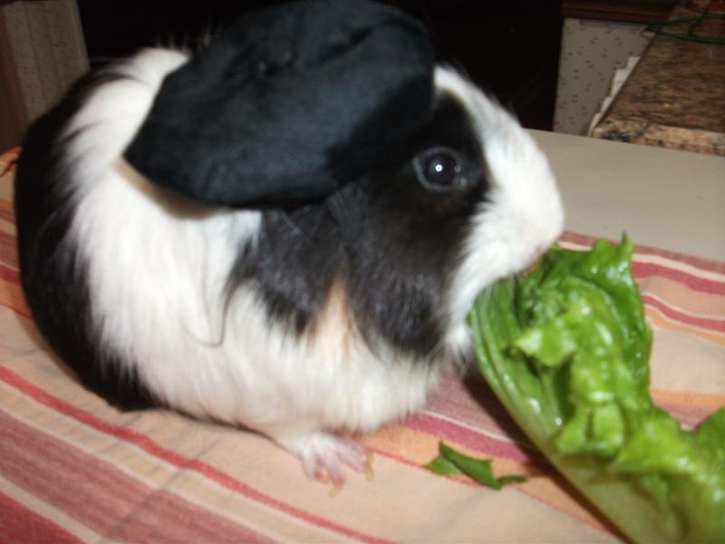 French Popcorn is a delight!