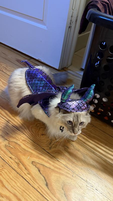 Only left the hat on for the picture. Messed with the ears too much.