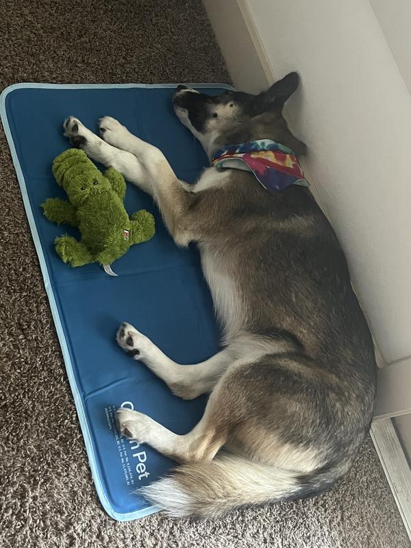  The Green Pet Shop Dog Cooling Mat, Extra Small