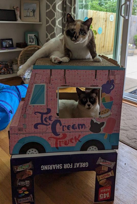 Taco Truck Cat Scratcher
