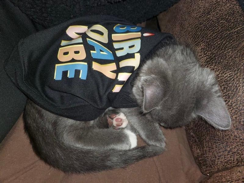 Relaxed and cozy in his new T-Shirt