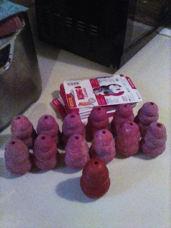 The Kong in front is our current Kong