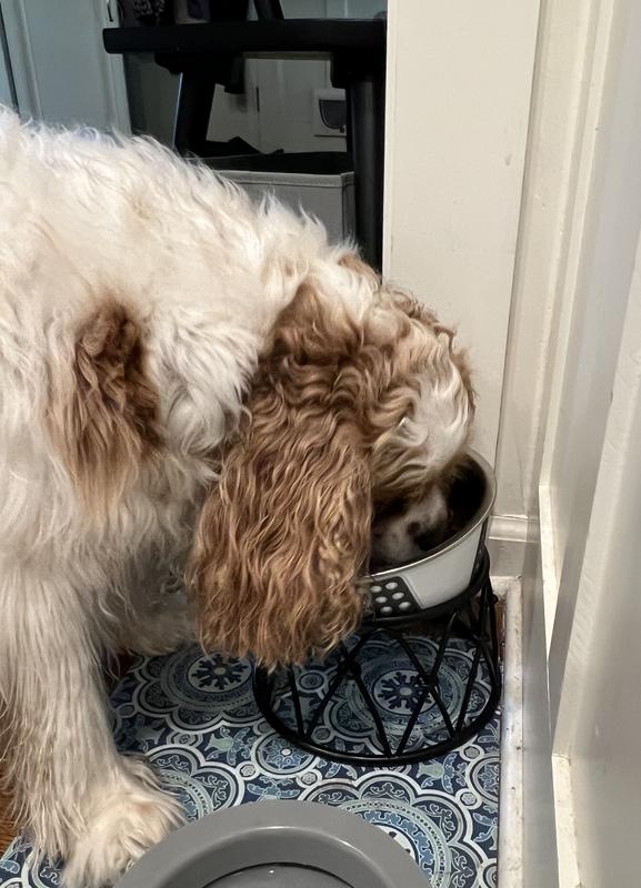 Working on a clean bowl!