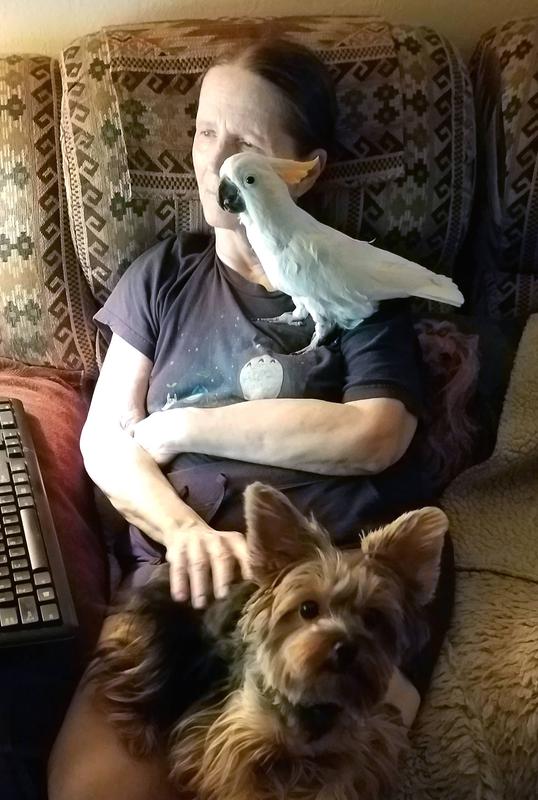 Here I am with Zoe and her big brother Tazzie. They are Mama's Little Helpers!