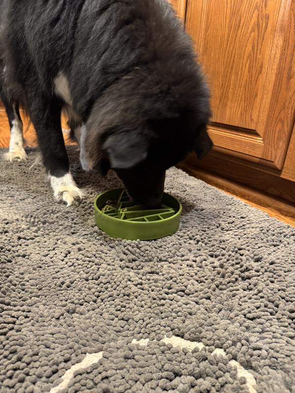 Orca digging into the Roasted Chicken Entree