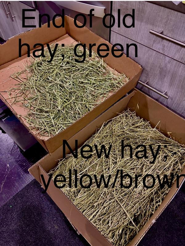 Old hay vs new hay
