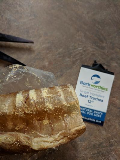 Worms under package.