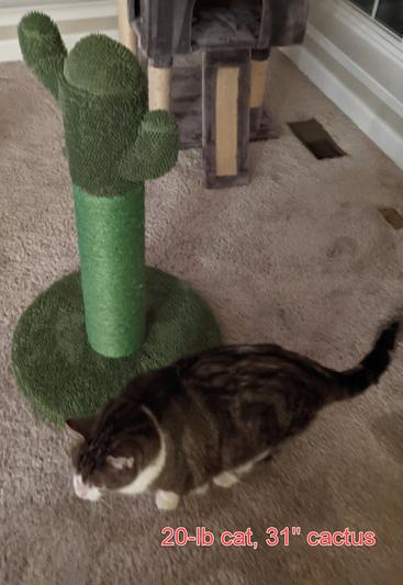 small scratch posts for cats Cute Panda Design Small Size Cat Tree & Scratching Post – Meowgicians™ main image 1
