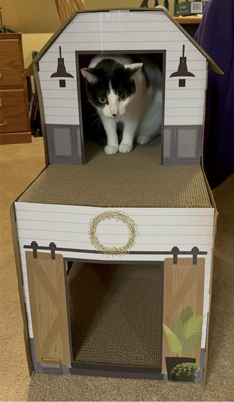 Frisco Valentine Love Carriage Cardboard Cat House, 2-Story