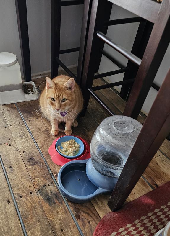 Coming up for air. Lol