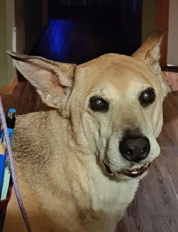 Molly wants a cracker!