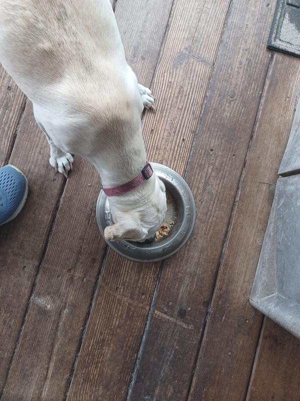 Skipper loves the sliders!