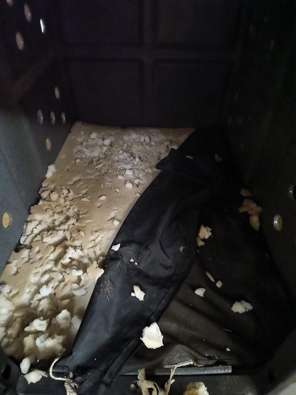 Betty's destroyed bed...