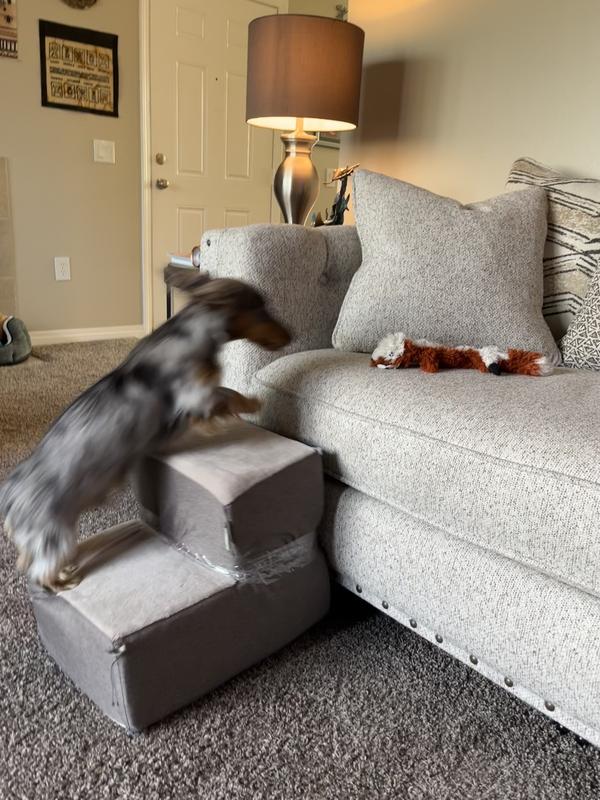 Du'e loves the steps to the couch