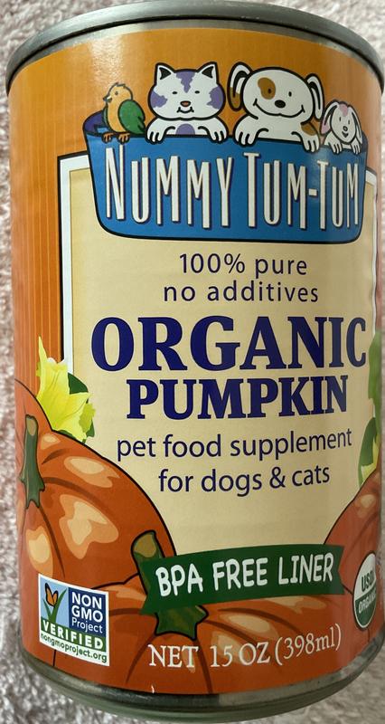 FRONT - Nummy Tum-Tum USDA-certified non-GMO organic pumpkin (BPA-free container)