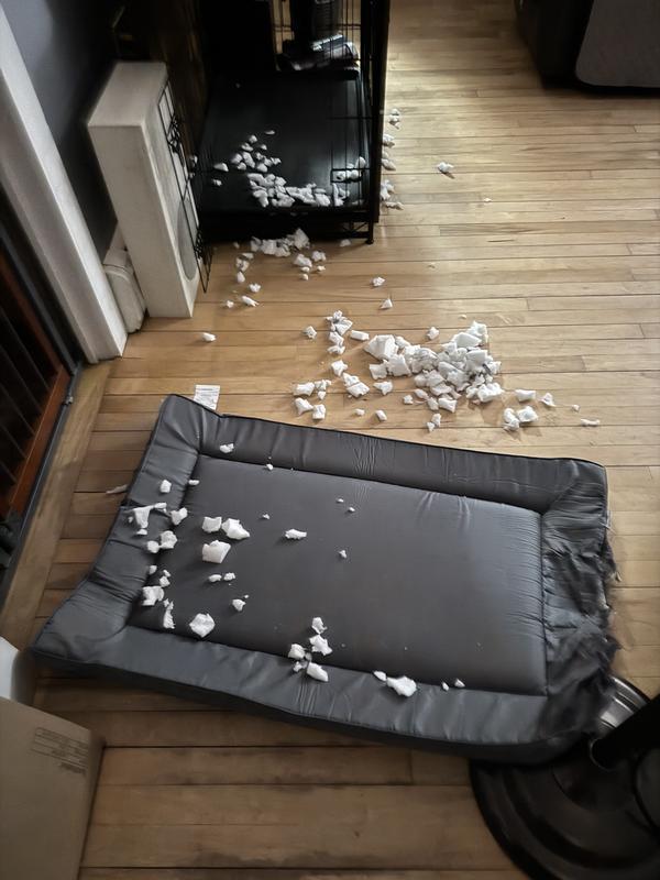 It exploded !😂