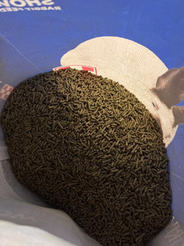 Purina Show Rabbit Pellet Feed, 50-lb bag - Chewy.com