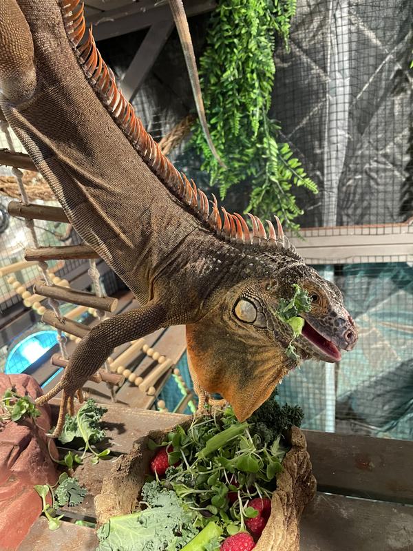 Hanging out, monching