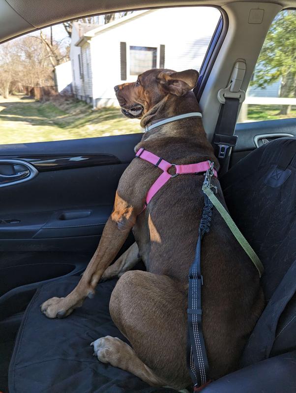 SLOWTON Adjustable Dog Car Seat Belt, 2 count, Black