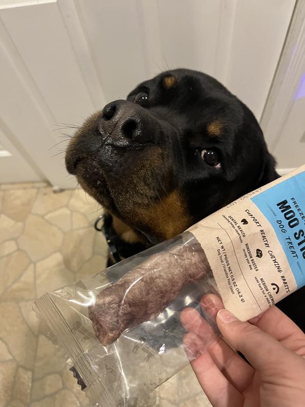 The only photo we managed to get before it was devoured!