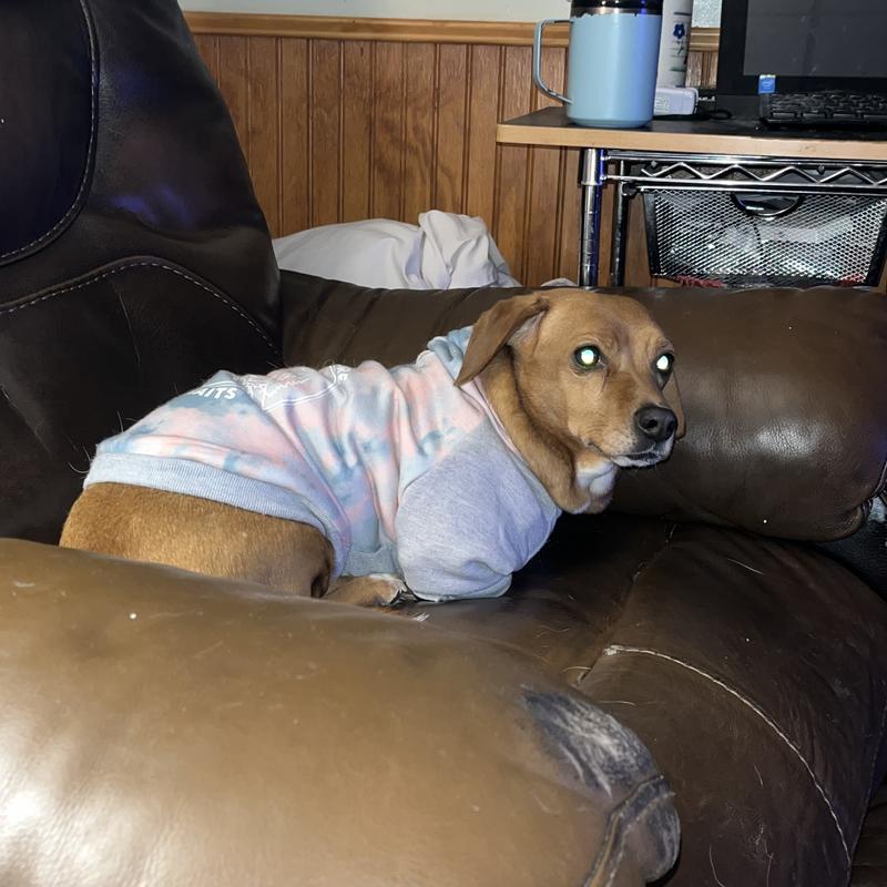 Great fit. She doesn’t take it off.