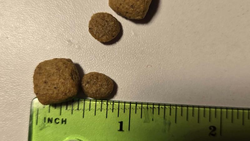 reg royal canin vs small dog royal canin