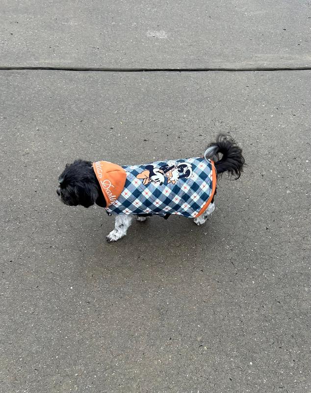 Great coat