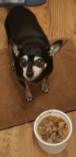 Ummm, excuse me, but this is not what I ordered...
