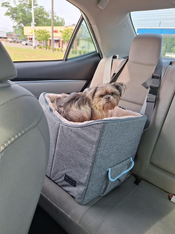 Booster Seat for your best friend