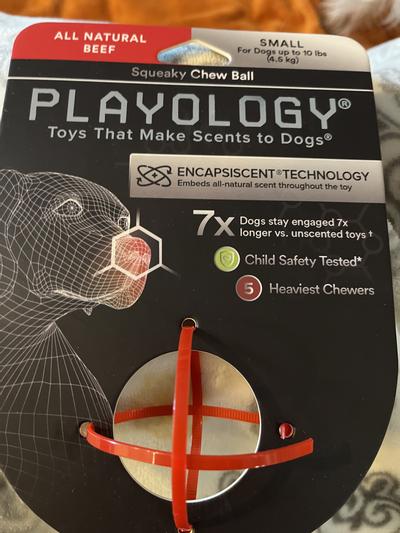 PLAYOLOGY All Natural Peanut Butter Scented Squeaky Chew Ball