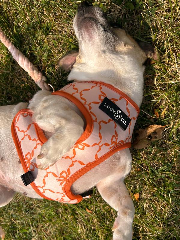 Rosie had to show off!