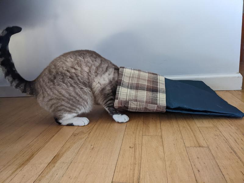 Estimating if he is going to fit (and fitting in anyway)