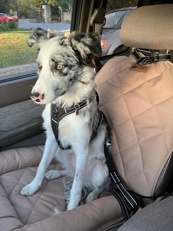 3 DOG PET SUPPLY Single Car Seat Protector with Bolster, Large, Tan