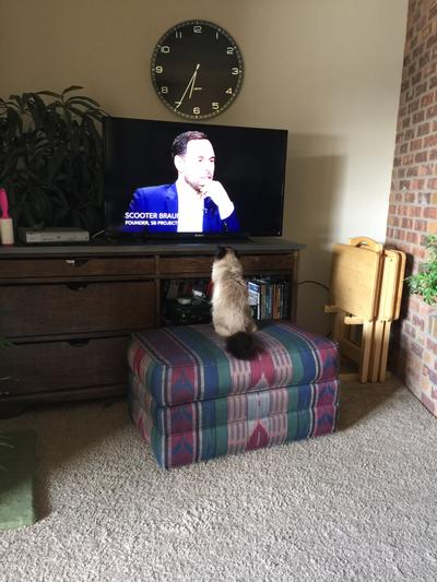 Watching the Nature Channel