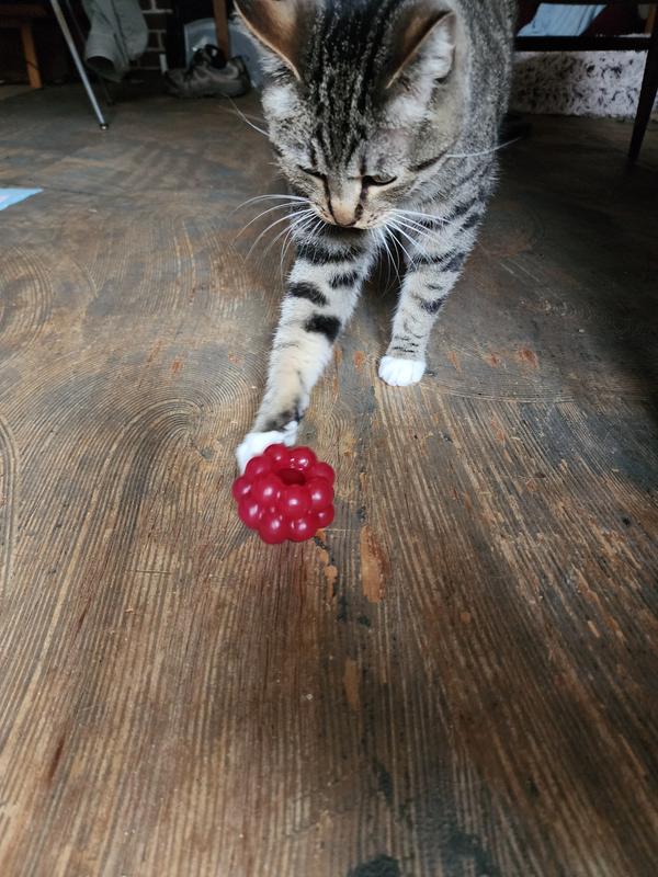 Fig figuring it out.