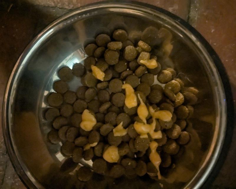 Topper added to Babe's uneaten breakfast.