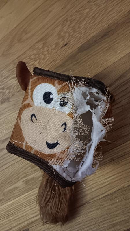 This toy was mutilated after 45-60 minutes